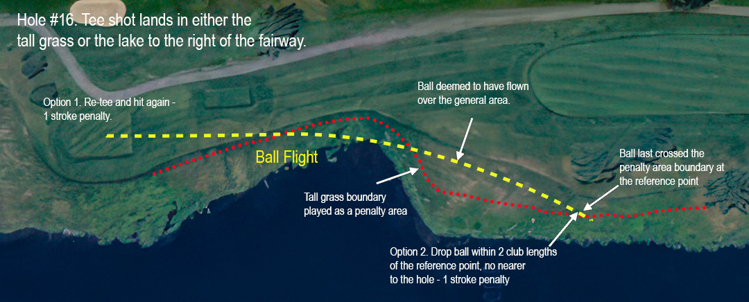 Crossvines, hole #16. Tee shot into tall grass on right.