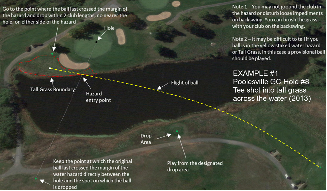 Example #1. Poolesville GC hole #8. Tee shot into tall grass across the water. Image from 2013.